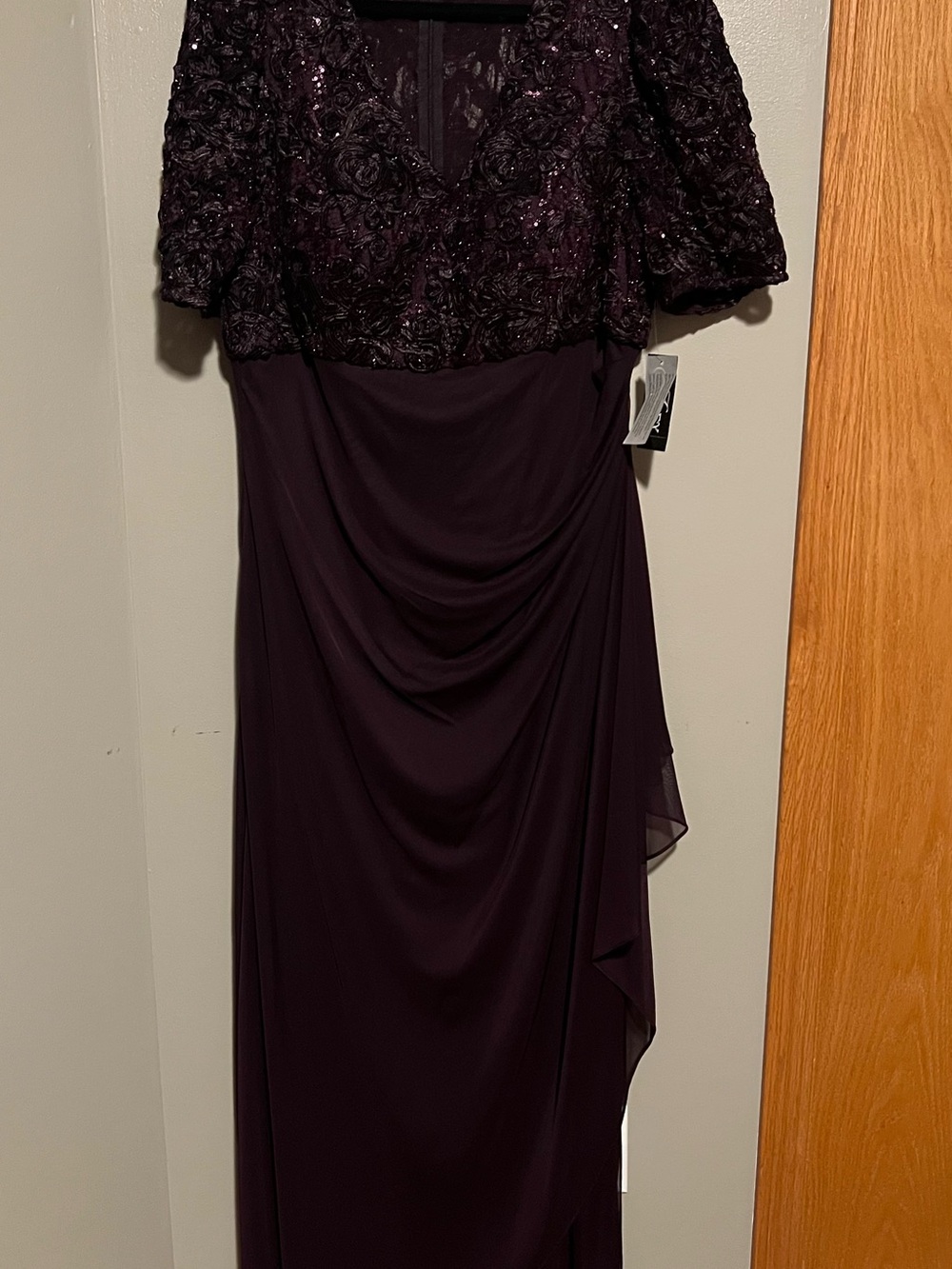 Alex Evenings Deep Plum Long Sleeve Embellished Evening Gown